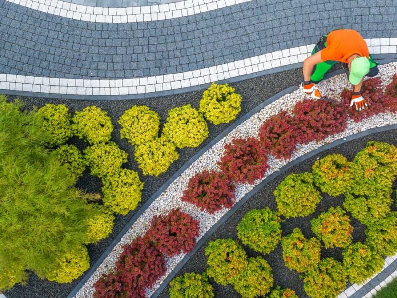 Landscaping overhead