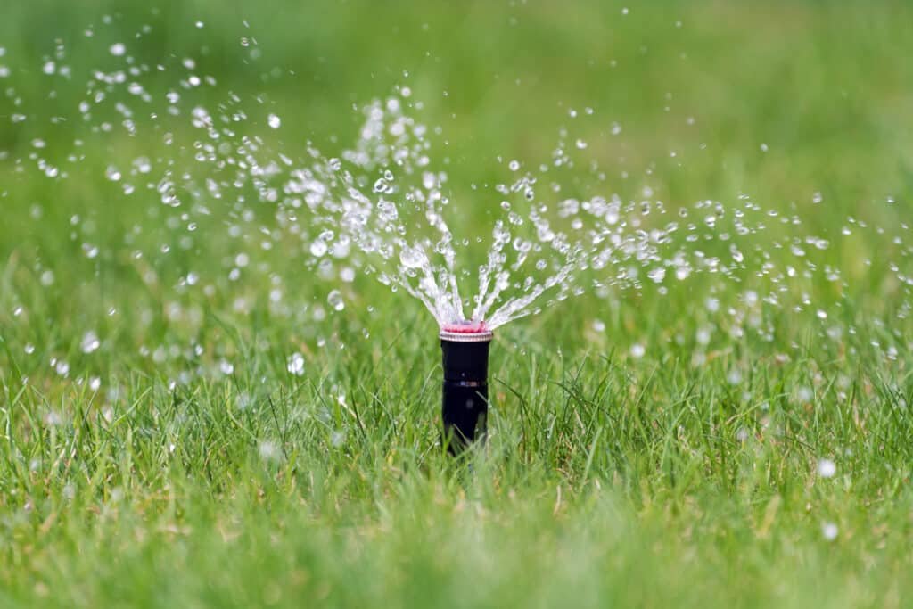 Irrigation Sprinkler watering grass