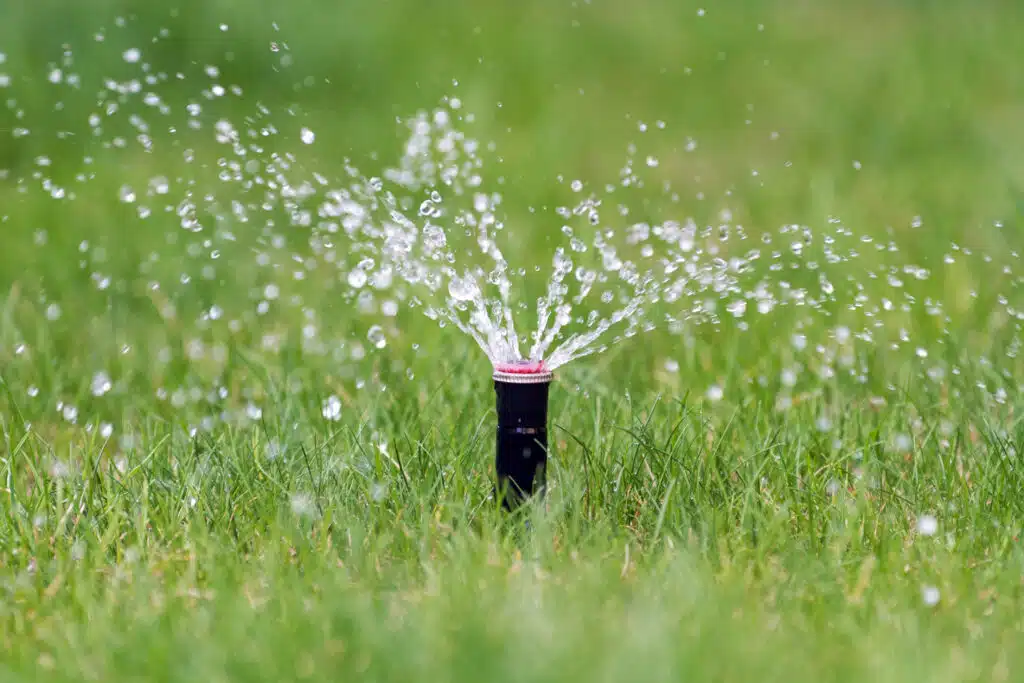 Irrigation Sprinkler watering grass
